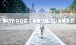 手机软件贷款（手机软件贷款逾期会怎样）