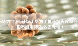 华为 手机 升级（华为手机升级失败重启也不能用,该怎么去处理）