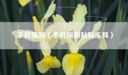 手机强制（手机强制粘贴工具）