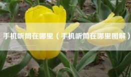 手机听筒在哪里（手机听筒在哪里图解）