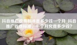 抖音推广收费标准是多少钱一个月_抖音推广收费标准，一个月究竟多少钱？