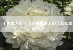 手机被人捡了（手机被别人捡了怎么拿回来）