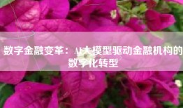 数字金融变革：AI大模型驱动金融机构的数字化转型