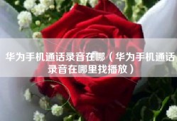 华为手机通话录音在哪（华为手机通话录音在哪里找播放）