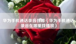 华为手机通话录音在哪（华为手机通话录音在哪里找播放）