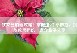 软文营销新攻略！掌握这5个小妙招，投放效果翻倍！媒介盒子分享