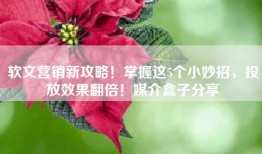 软文营销新攻略！掌握这5个小妙招，投放效果翻倍！媒介盒子分享
