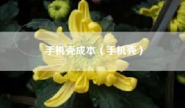 手机壳成本（手机壳）