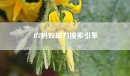 BT蚂蚁磁力搜索引擎