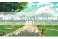 手机如何强制刷机（手机如何强制刷机教程）