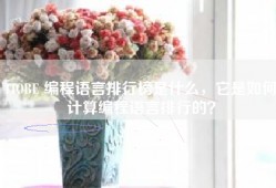 TIOBE 编程语言排行榜是什么，它是如何计算编程语言排行的？