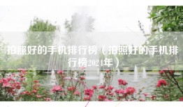 拍照好的手机排行榜（拍照好的手机排行榜2024年）