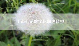 上市公司数字化加速转型