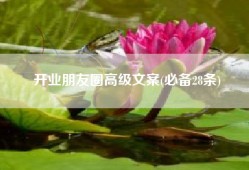 开业朋友圈高级文案(必备28条)