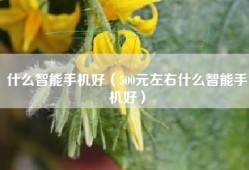 什么智能手机好（500元左右什么智能手机好）