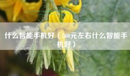 什么智能手机好（500元左右什么智能手机好）