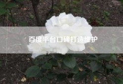 百度平台口碑打造维护