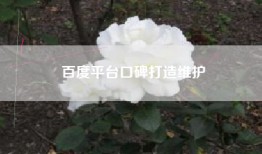 百度平台口碑打造维护