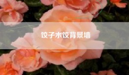 饺子水饺背景墙