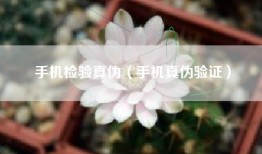 手机检验真伪（手机真伪验证）