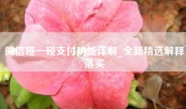 微信碰一碰支付功能详解_全新精选解释落实