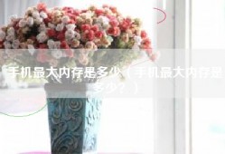 手机最大内存是多少（手机最大内存是多少？）