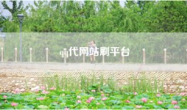 qq代网站刷平台