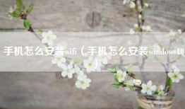 手机怎么安装wifi(手机怎么安装windows10)