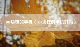300块钱的手机（300块钱的手机好吗）
