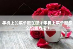 手机上的菜单键在哪（手机上菜单键怎么设置方法）