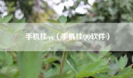 手机挂qq（手机挂QQ软件）