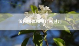 做自媒体如何月入过万