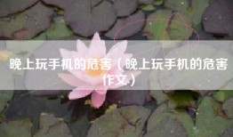 晚上玩手机的危害（晚上玩手机的危害作文）