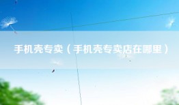 手机壳专卖（手机壳专卖店在哪里）