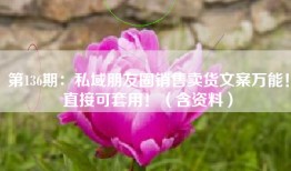 第136期：私域朋友圈销售卖货文案万能！直接可套用！（含资料）