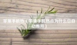苹果手机热（苹果手机热点为什么总自动断开）