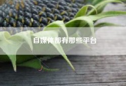 自媒体都有那些平台