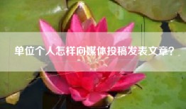 单位个人怎样向媒体投稿发表文章？