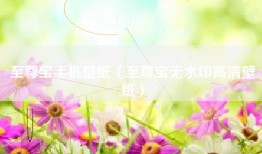 至尊宝手机壁纸（至尊宝无水印高清壁纸）