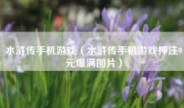 水浒传手机游戏（水浒传手机游戏押注9元爆满图片）