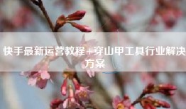 快手最新运营教程+穿山甲工具行业解决方案