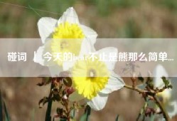 碰词 ｜ 今天的bear不止是熊那么简单...