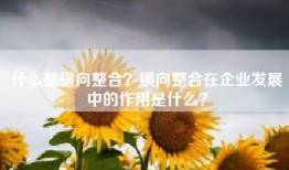 什么是横向整合？横向整合在企业发展中的作用是什么？