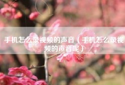 手机怎么录视频的声音（手机怎么录视频的声音呢）