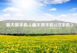 最大屏手机（最大屏手机12寸手机）