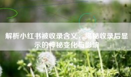 解析小红书被收录含义，揭秘收录后显示的神秘变化与影响