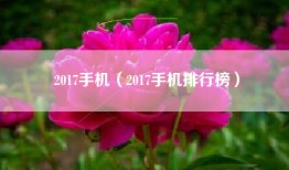 2017手机（2017手机排行榜）