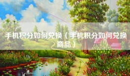 手机积分如何兑换（手机积分如何兑换商品）