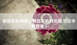 微信手机网页（微信手机网页版,可在手机登录）