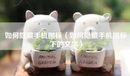 如何隐藏手机图标（如何隐藏手机图标下的文字）